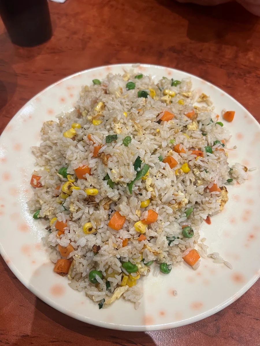 vegetarian fried rice 素炒饭